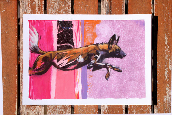 Bounding - African Painted Dog