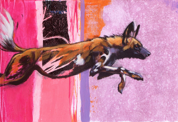 Bounding - African Painted Dog