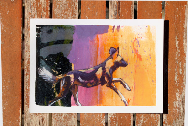 Intrinsic - African Painted Dog