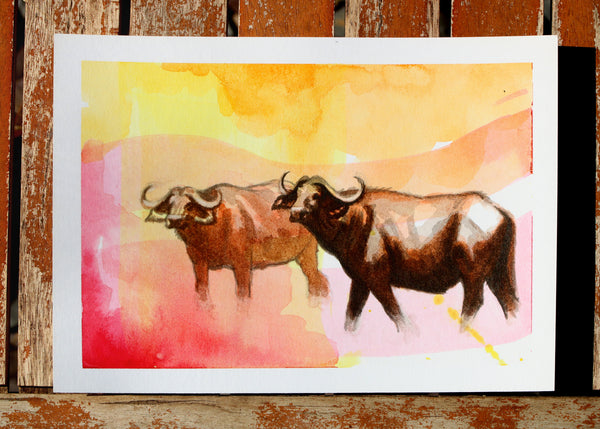 Heat of the day - Buffalo