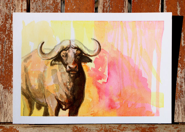 African Buffalo Study II