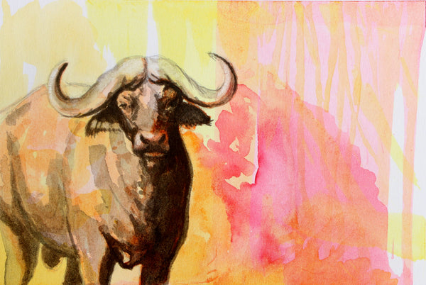 African Buffalo Study II