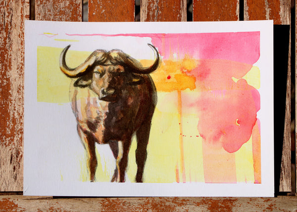 African Buffalo Study I