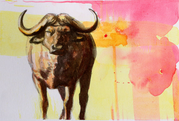 African Buffalo Study I