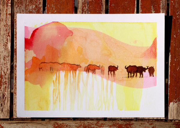 Herd - African Buffalo Sundowner