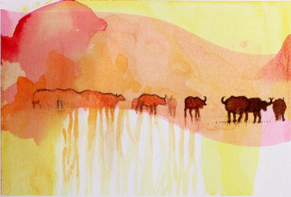 Herd - African Buffalo Sundowner