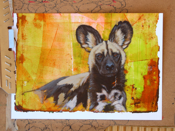 At Ease - African Painted Dog