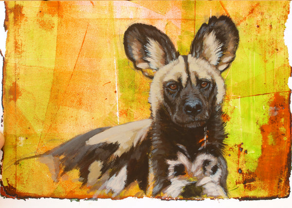 At Ease - African Painted Dog