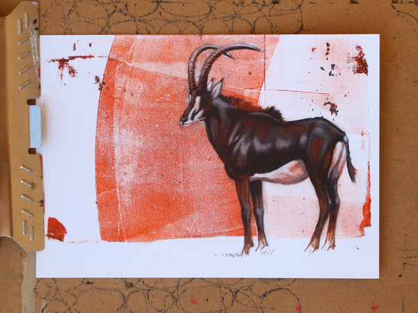 Stance - Sable Antelope