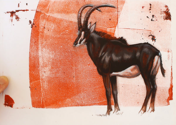Stance - Sable Antelope