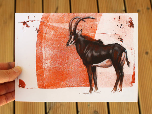Stance - Sable Antelope