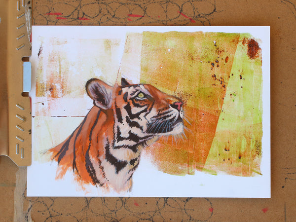 Up - Indian Tiger