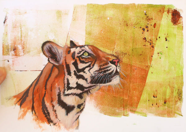 Up - Indian Tiger