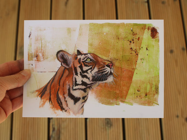 Up - Indian Tiger
