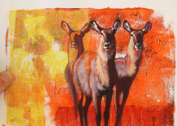 Trio - Waterbuck