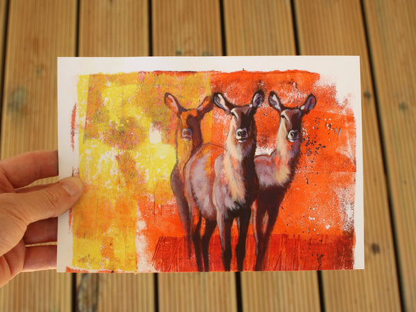 Trio - Waterbuck