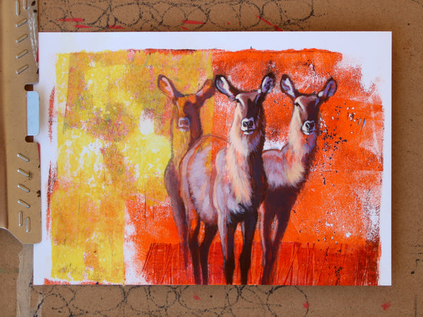 Trio - Waterbuck