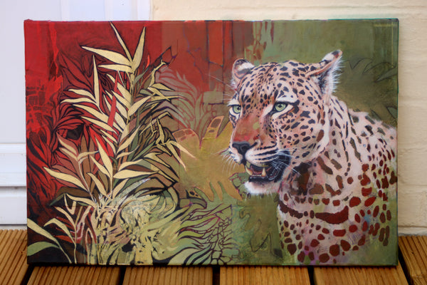 Silent Patterns - African Leopard