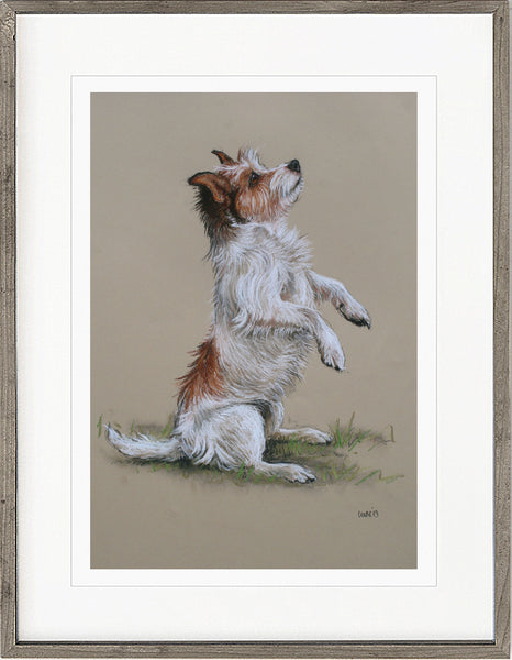 'I can sit!' Jack Russell Terrier Dog Print
