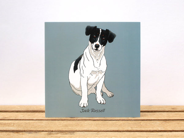 Jack Russell Terrier Sitting Card