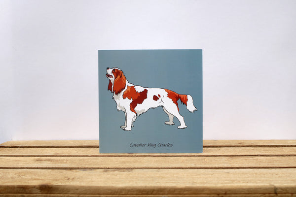 Cavalier King Charles Dog Card