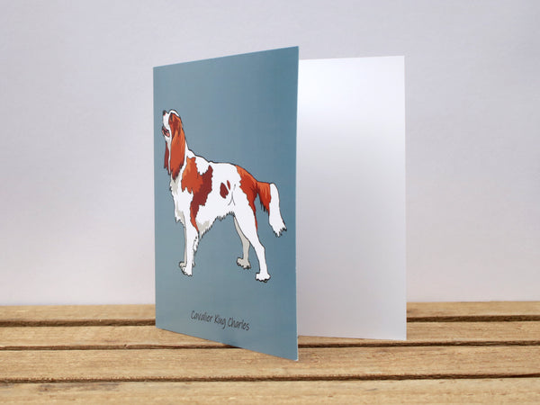 Cavalier King Charles Dog Card