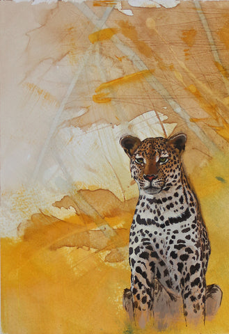 Mini Series - Sitting Young Female leopard