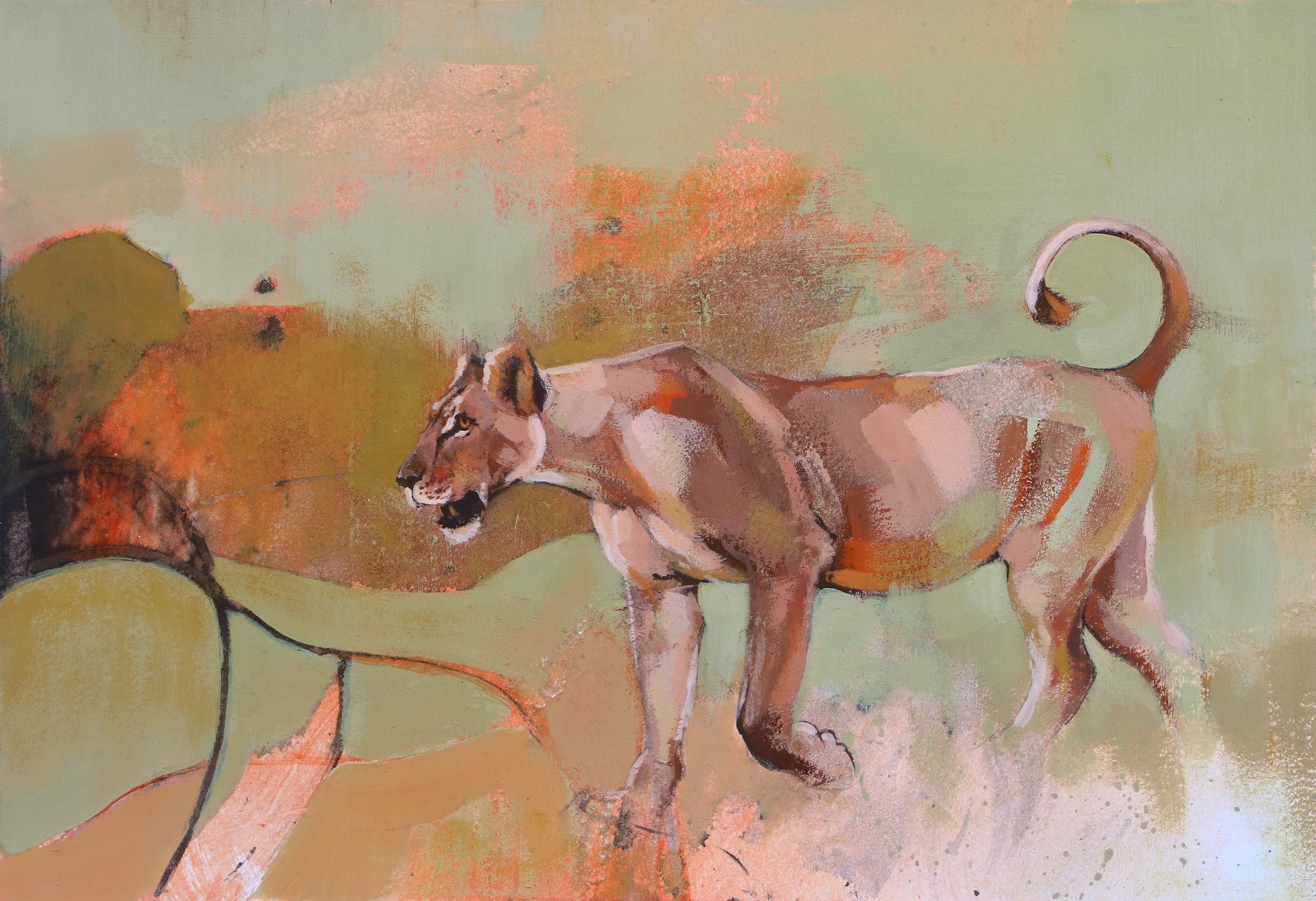 54/100 - Lioness Study