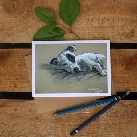 Jack Russell Terrier dog art card - Looking at you