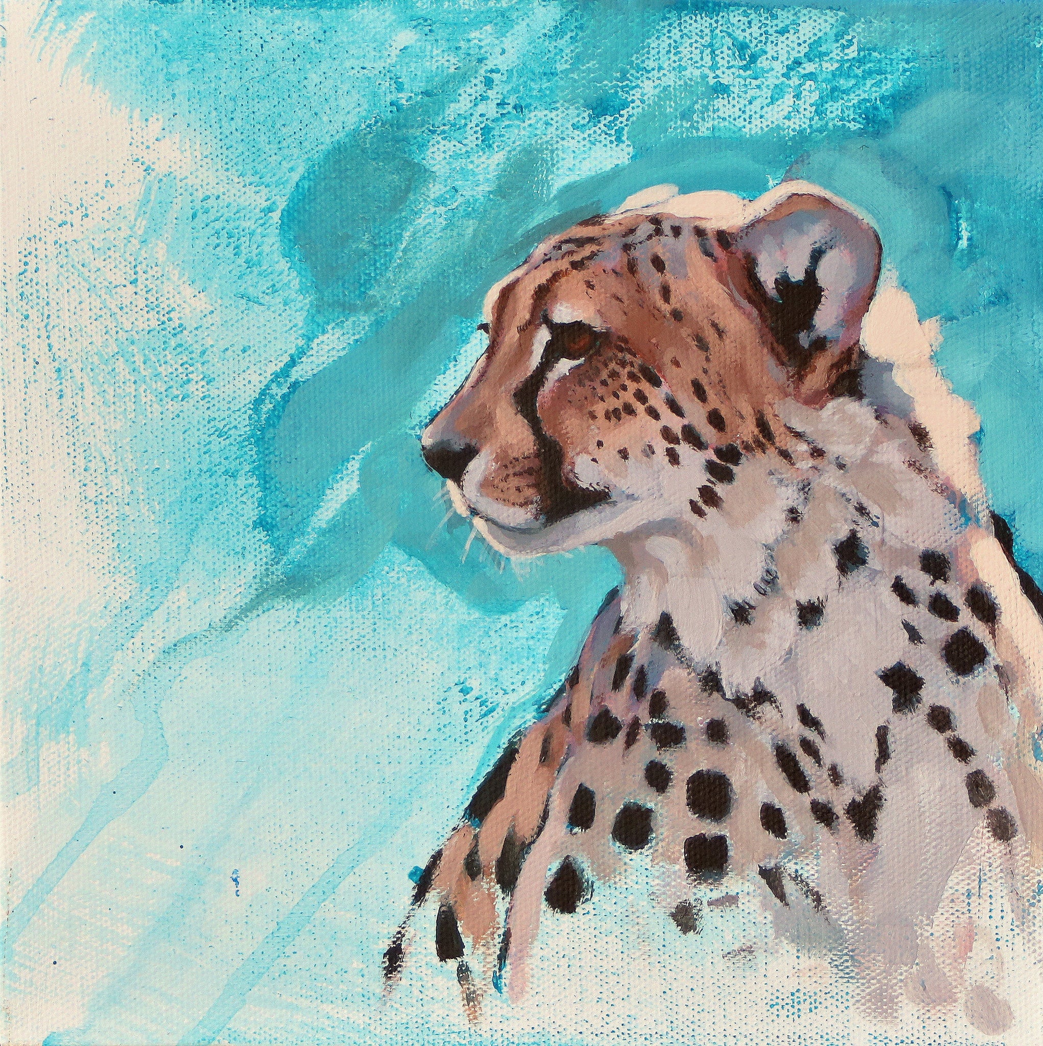 Mini Series - Morning Light Cheetah Head Study