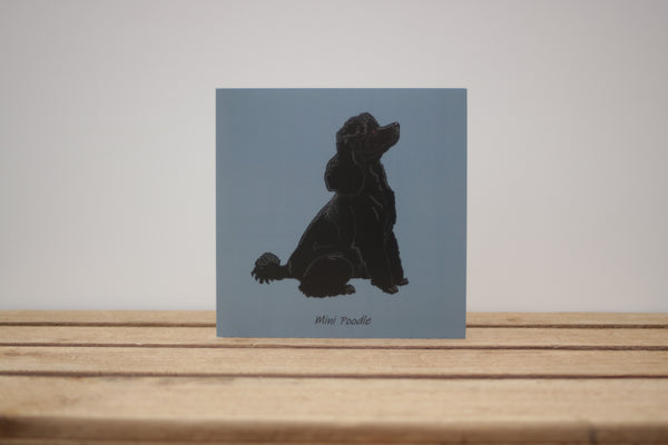 Mini Poodle Dog Card