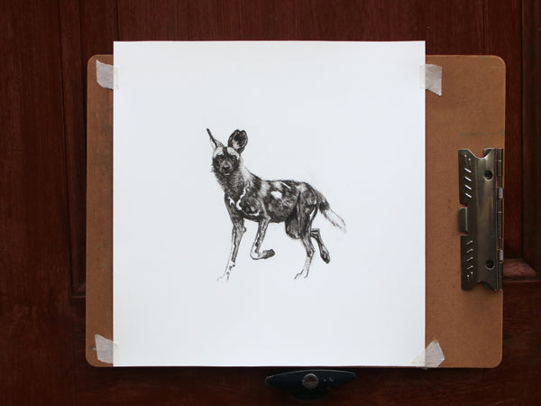 46/66 series - Charcoal sketch Trotting Dog study
