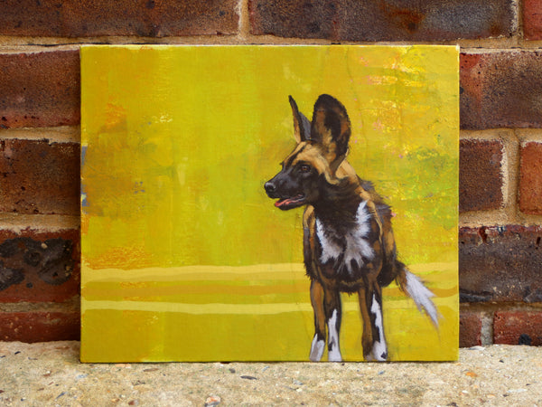 51/66 - Painted Dog Pup Study