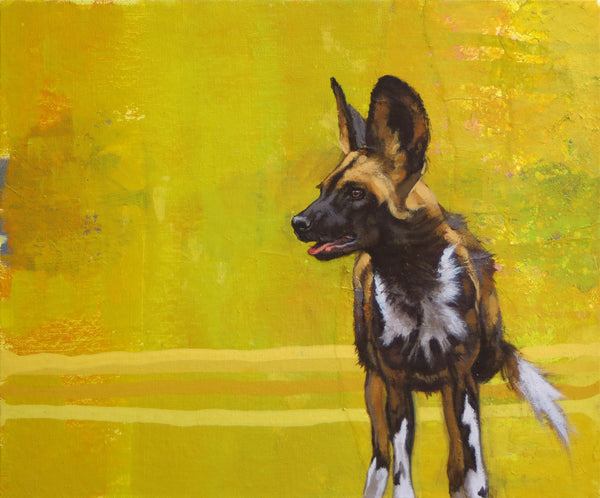 51/66 - Painted Dog Pup Study