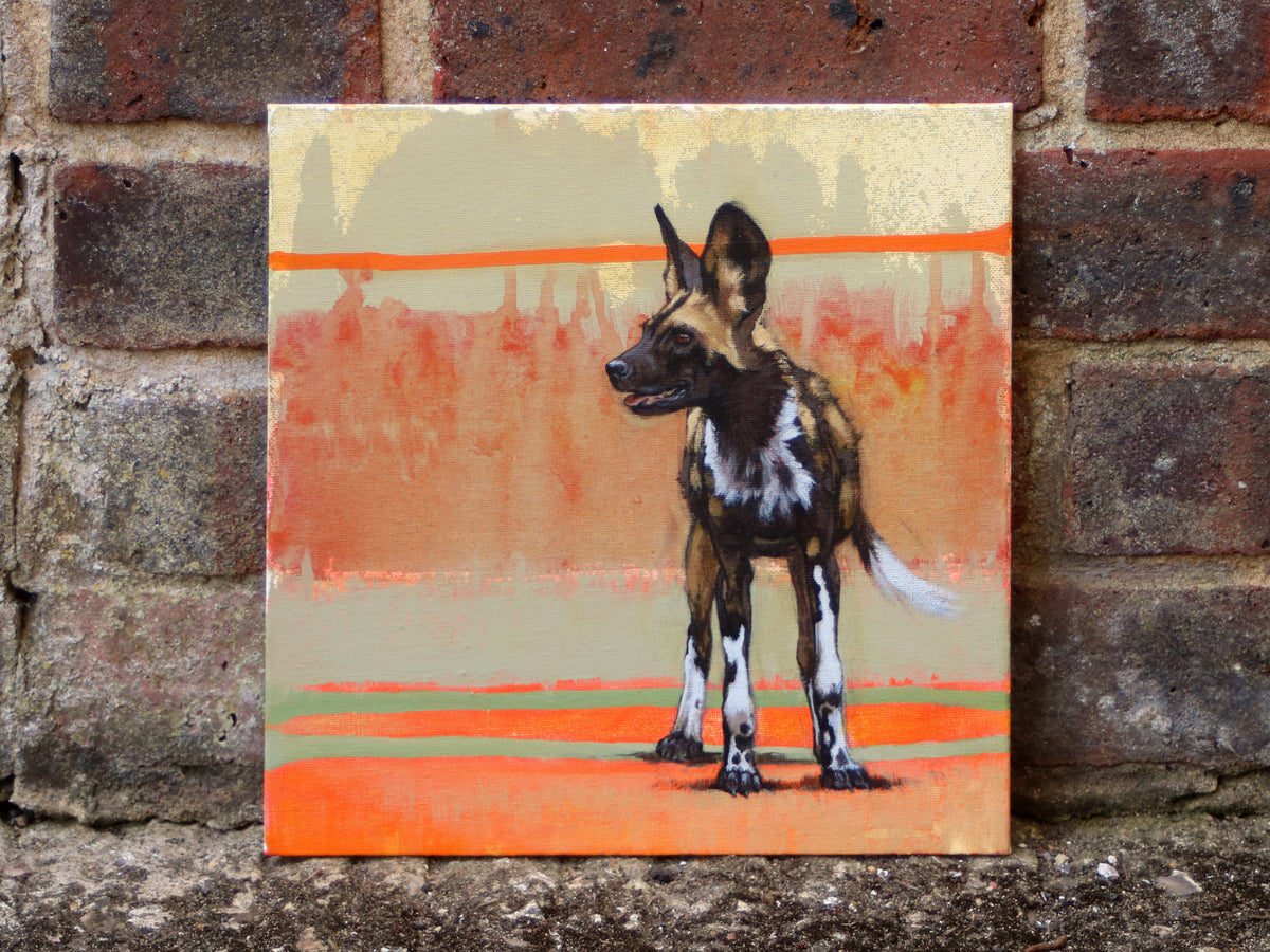 31/66 African Painted Dog Painting series Heather Irvine Wildlife and