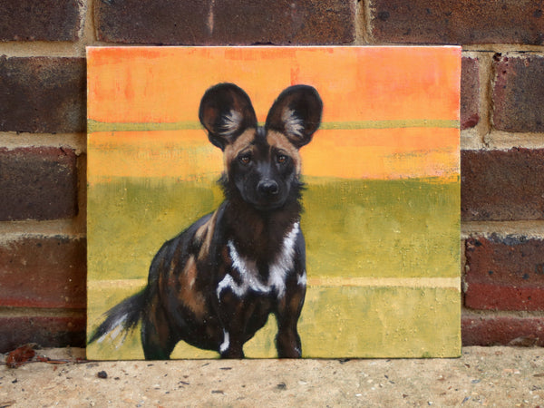 43/66 - Painted Dog Watching