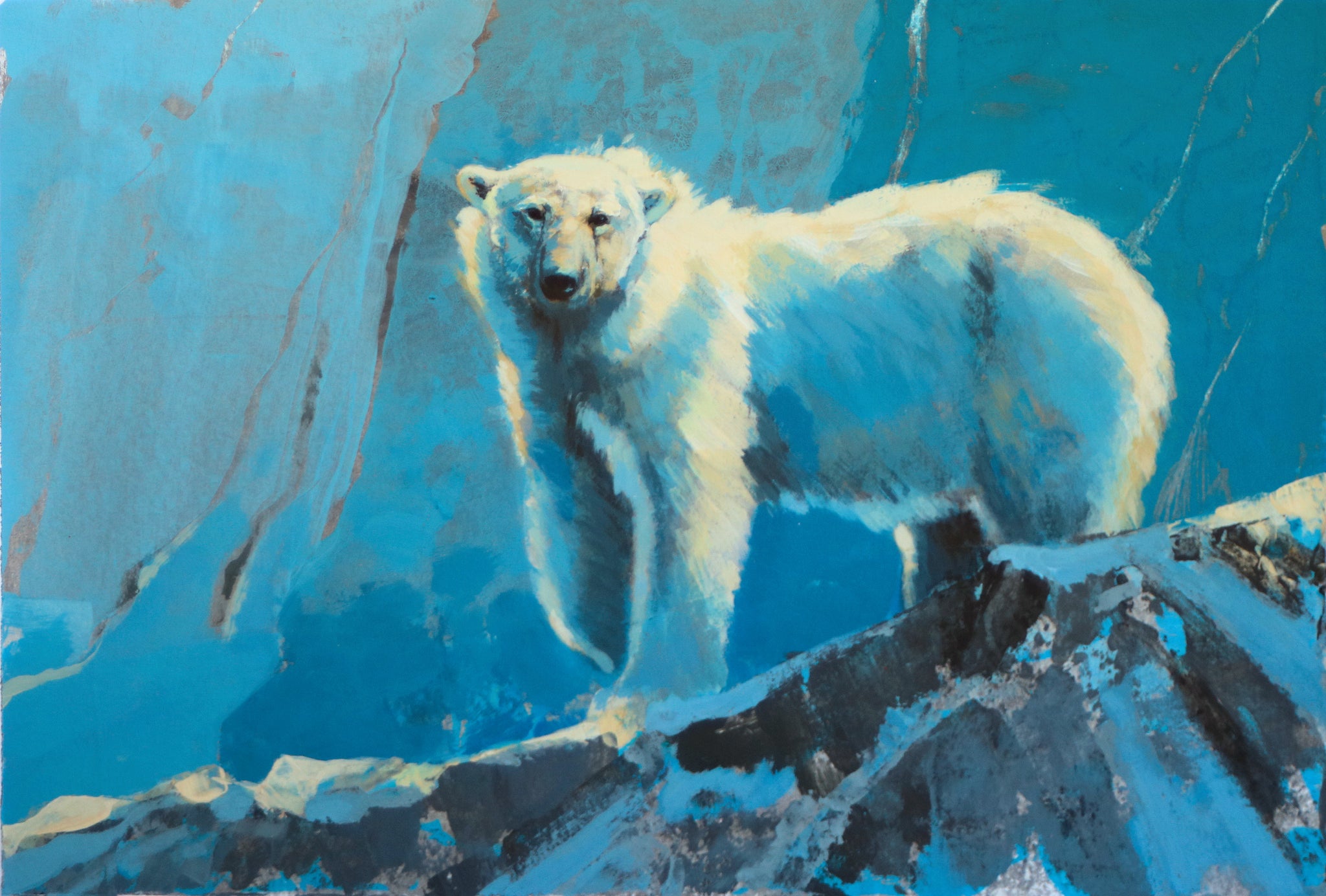 57/100 - Polar Bear Study
