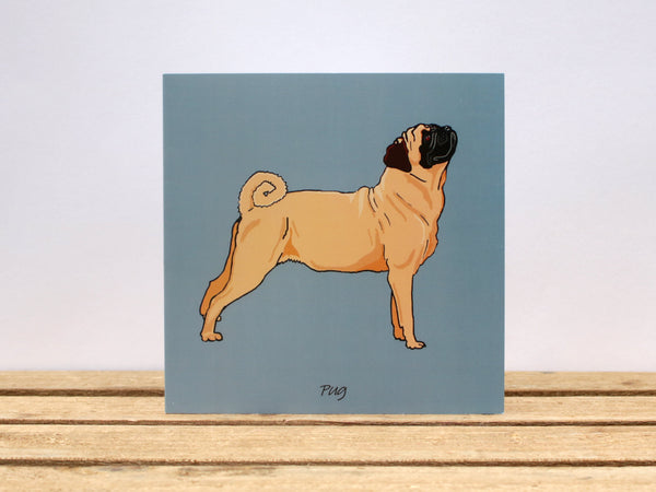 Pug Dog Card