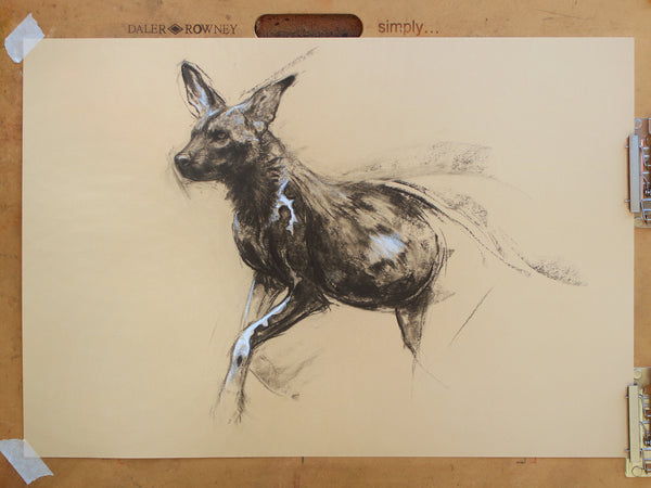 48/66 series - Running Painted Dog sketch