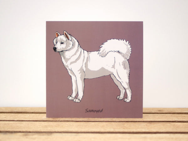 Samoyed Dog Card