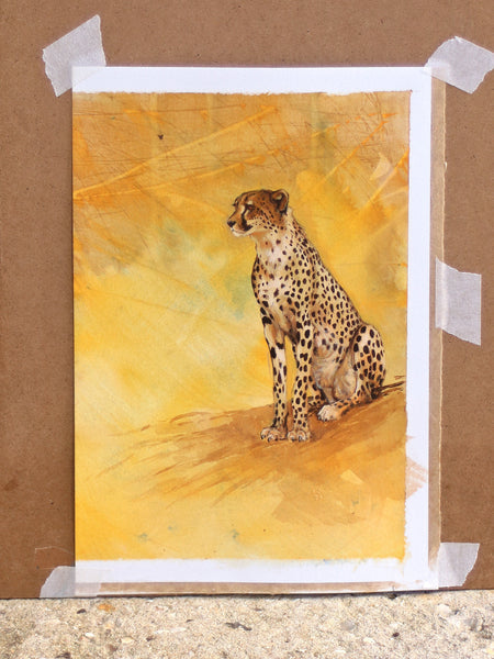 36/100 - Sitting Cheetah