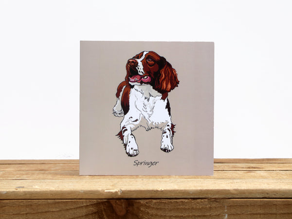 Springer Spaniel Dog Tan and white Sitting Card