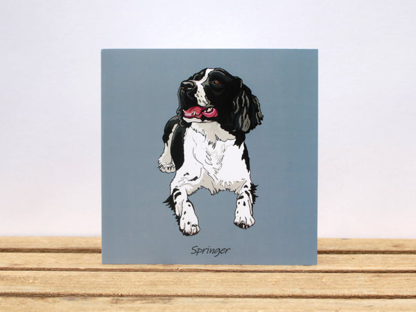 Springer Spaniel Dog B&W Sitting Card