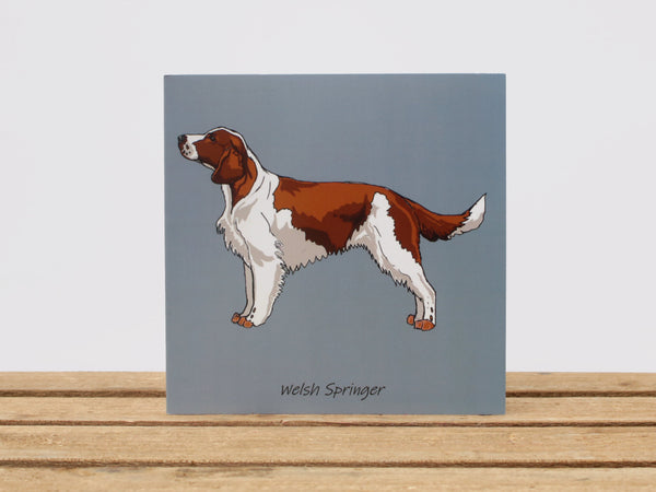 Welsh Springer Spaniel Dog Card