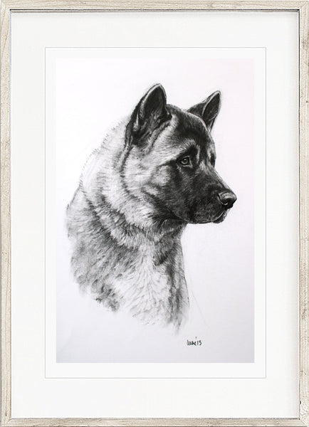 Akita dog print