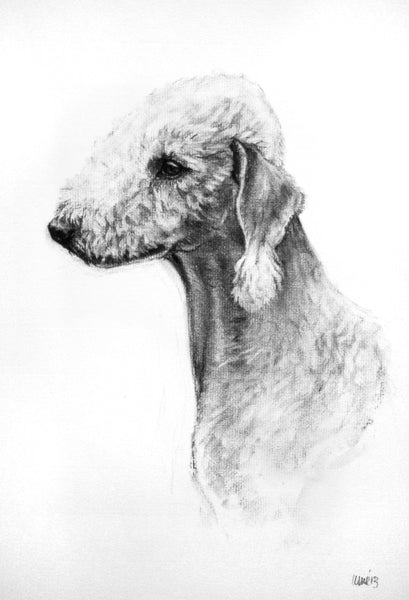 Bedlington Terrier dog print