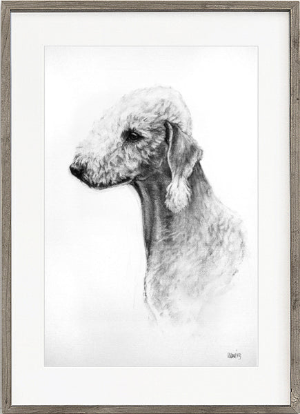 Bedlington Terrier dog print