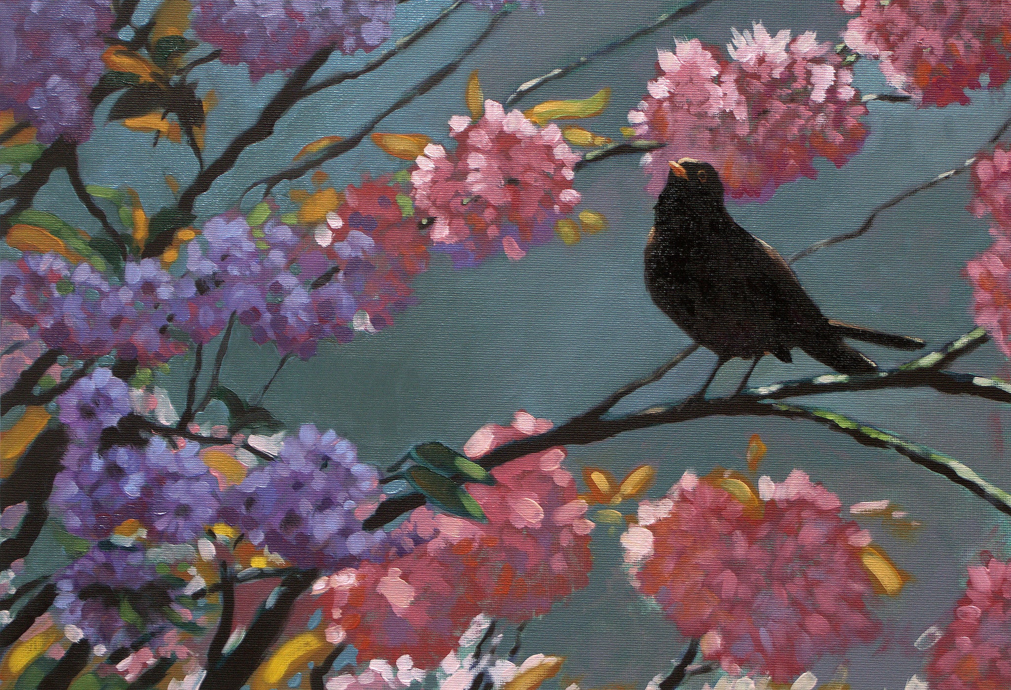 Blackbird Blossom