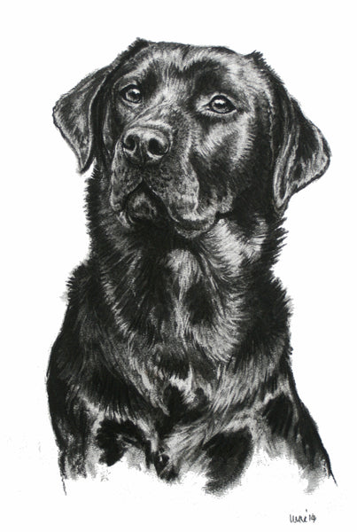 Black Labrador dog print