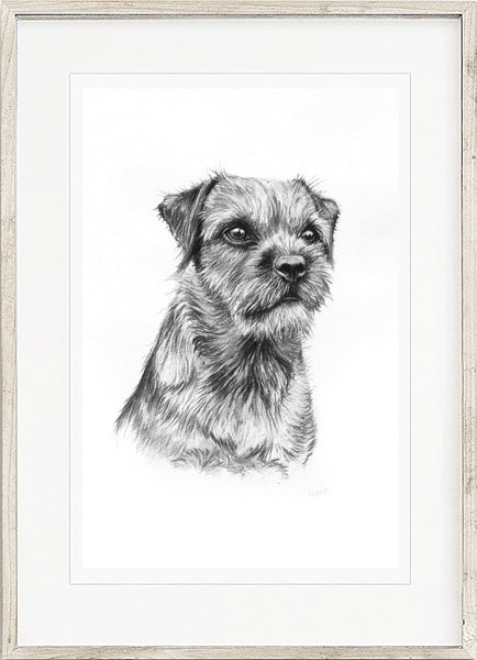 Border Terrier dog print